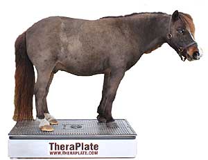 TheraPlate Revolution K10.5 Pet Sized Model